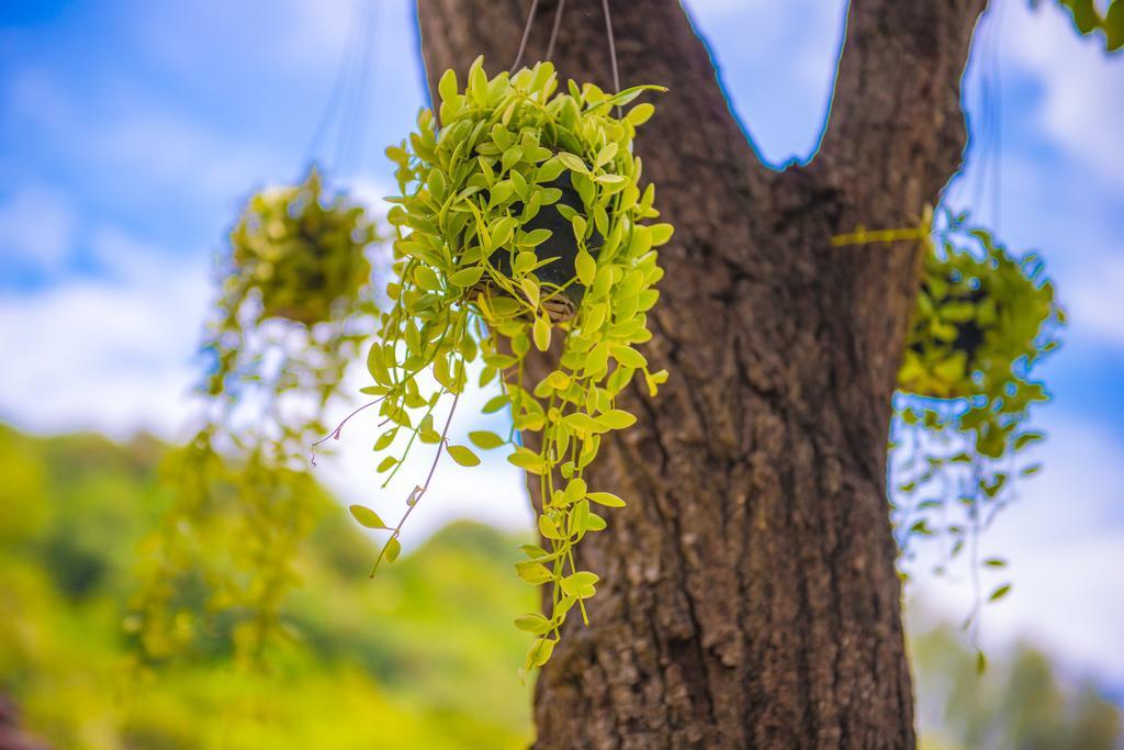 Crystal Wild Resort Panwa Phuket Eksteriør bilde