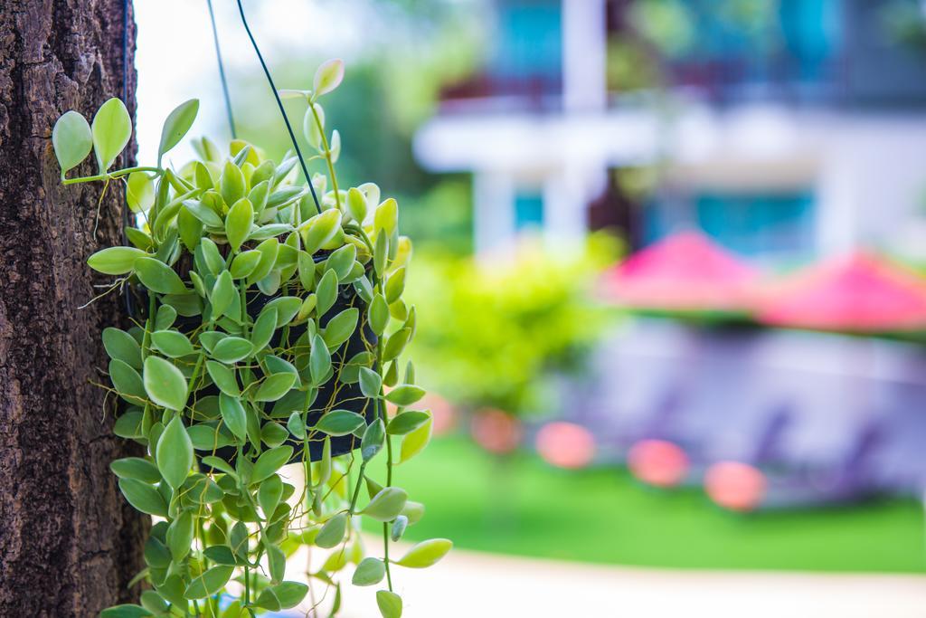 Crystal Wild Resort Panwa Phuket Eksteriør bilde